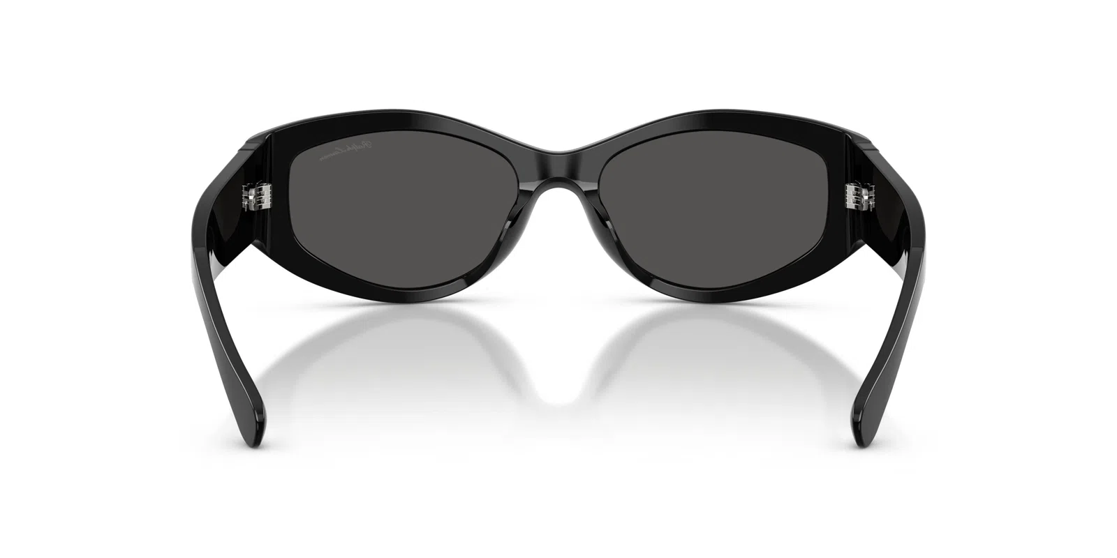 Ralph Lauren 8243U Sunglasses - view 18